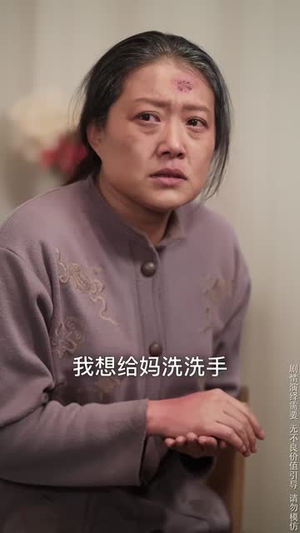 细雨春晖报母恩(30集)  细雨春晖报母恩(30集) 精彩短剧又来了