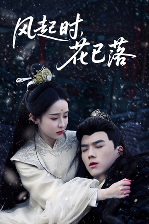 风起时,花已落(49集)  风起时,花已落(49集) 免费观看完整版
