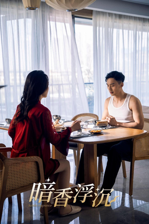 暗香浮沉(51集) 暗香浮沉(51集)女主角是谁
