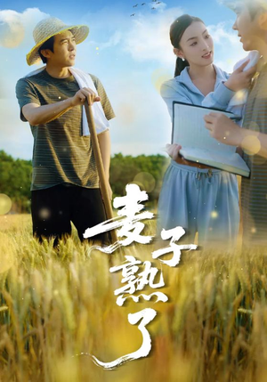 麦子熟了(52集) 麦子熟了(52集)一起追短剧吧