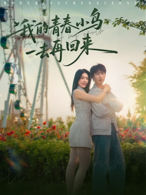 我的青春小鸟一去再回来(95集) 我的青春小鸟一去再回来(95集)无需会员免费看