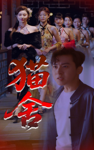 猫舍(34集) 猫舍(34集)全部免费看全集