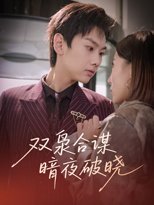 双枭合谋暗夜破晓(30集) 双枭合谋暗夜破晓(30集)热门短剧在线看