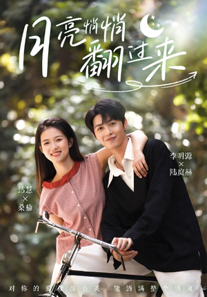 月亮悄悄翻过来(99集) 月亮悄悄翻过来(99集)大结局