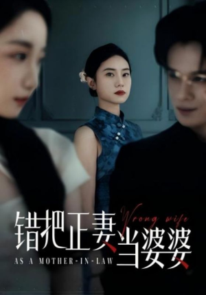错把正妻当婆婆(46集) 错把正妻当婆婆(46集)免费观看就是爽