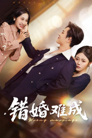 错婚难成(45集) 错婚难成(45集)大结局完美收官