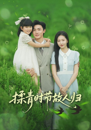 揉青时节故人归(60集) 揉青时节故人归(60集)全集