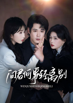 问君何事轻离别(30集) 问君何事轻离别(30集)剧情简介