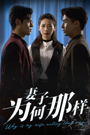 妻子为何那样(60集) 妻子为何那样(60集)热播古装短剧