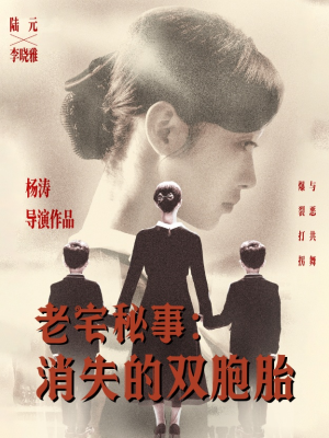 老宅秘事消失的双胞胎(90集) 老宅秘事消失的双胞胎(90集)高清画质免费看