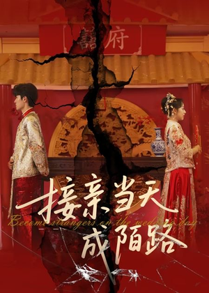接亲当天成陌路(50集) 接亲当天成陌路(50集)好看短剧推荐