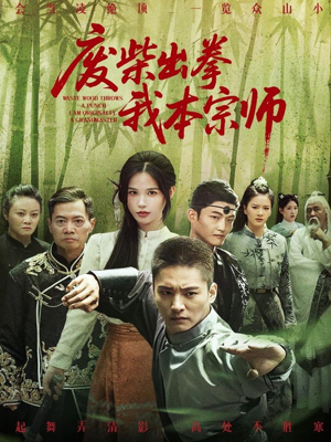 废柴出拳我本宗师(61集) 废柴出拳我本宗师(61集)热门短剧抢先看