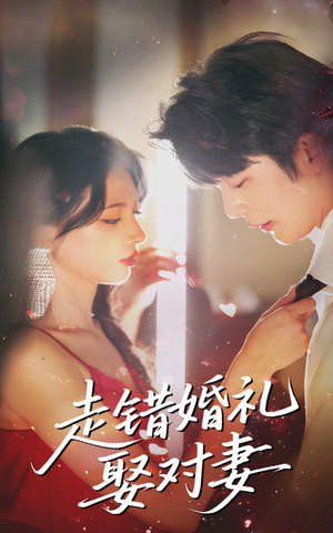 走错婚礼娶对妻(60集 走错婚礼娶对妻(60集免费看全网短剧