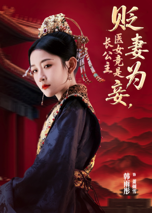 贬妻为妾医女竟是长公主(80集) 贬妻为妾医女竟是长公主(80集)全集免费观看
