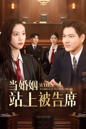 当婚姻站上被告席(30集) 当婚姻站上被告席(30集)免费全集短剧
