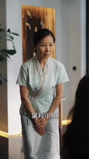 危情泰兰德(63集) 危情泰兰德(63集)全集