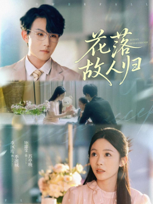 花落故人归(66集) 花落故人归(66集)无需会员轻松看