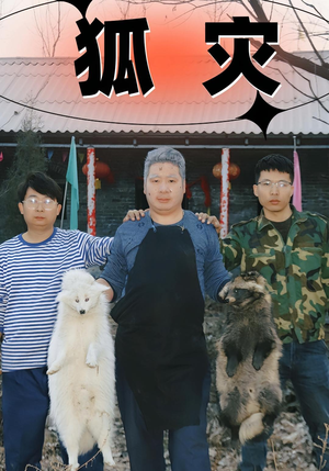 狐灾(25集) 狐灾(25集)精彩短剧追不停
