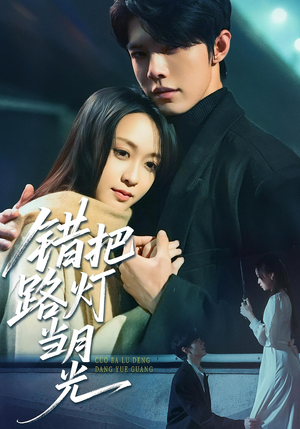 错把路灯当月光(40集) 错把路灯当月光(40集)免费观看全集