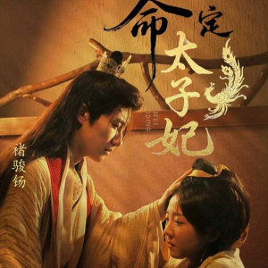 命定太子妃(63集) 命定太子妃(63集)免费看短剧全集