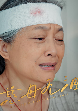 慈母无泪(30集) 慈母无泪(30集)精彩短剧看不停