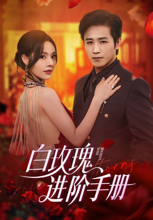 白玫瑰进阶手册(64集) 白玫瑰进阶手册(64集)在哪看