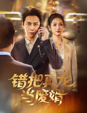 错把真龙当废婿(60集) 错把真龙当废婿(60集)最后的大结局