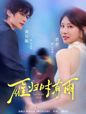 雁归时有雨(84集) 雁归时有雨(84集)演的怎么样