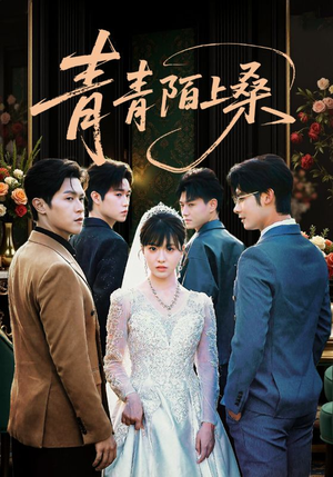 青青陌上桑(70集) 青青陌上桑(70集)免费在线看全集