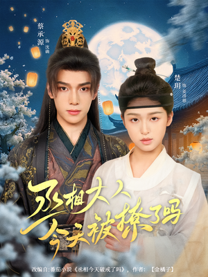 丞相大人今天被撩了吗(80集) 丞相大人今天被撩了吗(80集)原创精彩短剧