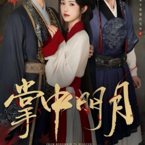 掌中明月(60集) 掌中明月(60集)爱上了这部剧了