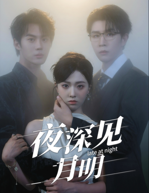 夜深见月明(50集) 夜深见月明(50集)熬夜追短剧