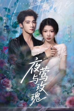 夜莺与玫瑰(66集) 夜莺与玫瑰(66集)流畅播放免费看