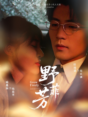 野芳菲(60集) 野芳菲(60集)免费短剧片段