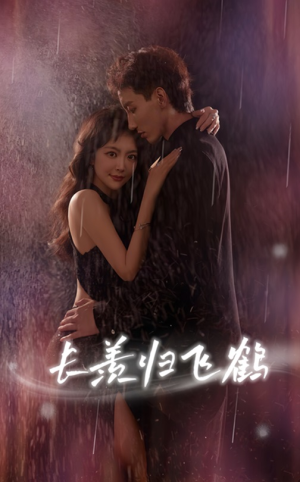 长羡归飞鹤 (70集) 长羡归飞鹤 (70集)完整版