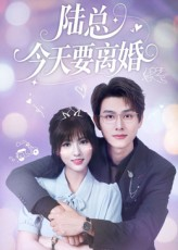 陆总今天要离婚(81集) 陆总今天要离婚(81集)免费短剧完整版