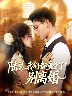 陆总我们都重生了别离婚(79集) 陆总我们都重生了别离婚(79集)集免费看短剧