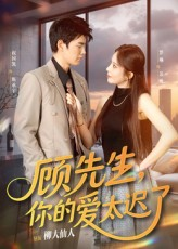 顾先生你的爱太迟了(60集) 顾先生你的爱太迟了(60集)热门短剧推广