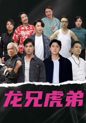 龙兄虎弟中文版(60集) 龙兄虎弟中文版(60集)免费版