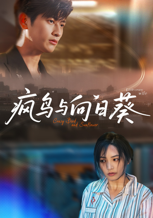 疯鸟与向日葵(40集) 疯鸟与向日葵(40集)海量资源免费看