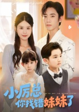 小厉总你找错妹妹了(52集) 小厉总你找错妹妹了(52集)免费看全网短剧