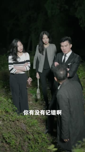 将军请上车 (91集) 将军请上车 (91集)短剧解说热门