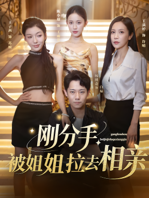 刚分手被姐姐拉去相亲(73集) 刚分手被姐姐拉去相亲(73集)好看到停不下来