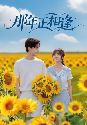 那年正相逢(60集) 那年正相逢(60集)看过的人都说好