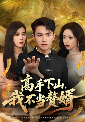 高手下山我不当赘婿(66集) 高手下山我不当赘婿(66集)全集一次看完