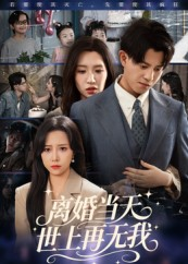离婚当天世上再无我(60集) 离婚当天世上再无我(60集)上热门短剧