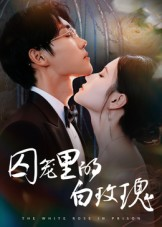 囚笼里的白玫瑰(59集) 囚笼里的白玫瑰(59集)短剧太好看