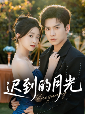 迟到的月光(80集) 迟到的月光(80集)完整版