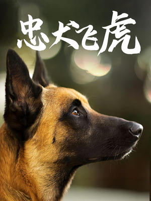 忠犬飞虎(33集) 忠犬飞虎(33集)在线免费观影