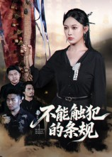 不能触犯的条规(50集) 不能触犯的条规(50集)大结局太过瘾了